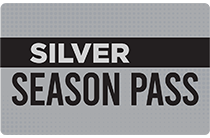 Silver Passholder